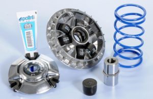 POLINI MAXI HI-SPEED PER HONDA FORZA 125 FORZA PURA