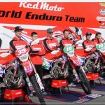 e0e9d9a6b53de39887ae82d8b220cefb_XL