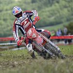 d446bd5b214698397917d385a315641b_XL