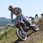 78f74553d9b7eaebe2b6bcb8854f6127_XL