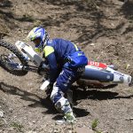 45171765ee5f1bee90247be4c4ed48c0_XL