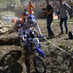 20f898136168c22285627099a1664e0b_XL