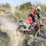 3ad0a2e47111012ed7b783bac1559565_XL