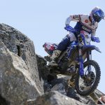 355a2f5e4acecd91104a7e7c5553f2cc_XL