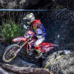 77b366dd254a43618bcbedaf86ab4031_XL