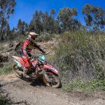 814c5fa8cc246f42c53a91bddf076dee_XL