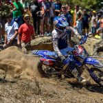 8f3e3c616d91a831ec66aed0a5288dd7_XL