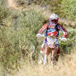 e5cecf529da8f09a63b96472a35c25c9_XL