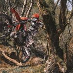 0fb35a130379cee0c71d7b0d79eeade3_XL