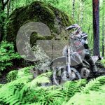 Schermata 2018-01-10 alle 14.06.19