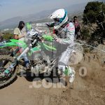 albergoni_341