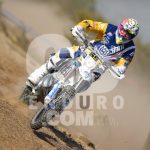 bellino_155