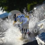 bellino_336