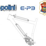 polini_dual