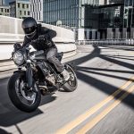 SVARTPILEN 701 MY19 (9)