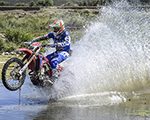gallery-2018