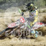 philippaerts320-2