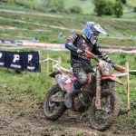 007_Silvestro-Silvi-1024×683