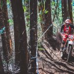 34878535-67f0-4d44-b2ec-a186e4b7c6e8