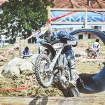 37f315bc-6999-4237-b7ed-1a60c7daa761