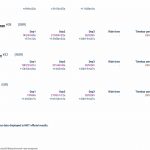 OVERALL race progress