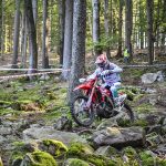 0fe6710c-a65a-458f-b31d-91e14ceb27c0