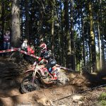 5cb15fcd-1477-4408-b48e-4b645ec2f3f6