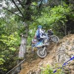 d350d0b6-cef9-41d0-94a4-ec06c2ecef9d