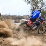 Davide Guarneri(0)