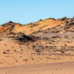 andrew.short_Dakar_2020_stage 7_01