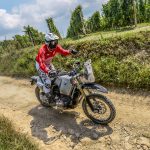 Trofeo-MaxiEnduro-e-Scrambler