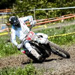 76cd01d2-4b42-4491-831f-9bb57cc9230f