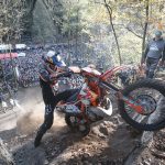 Manuel Lettenbichler