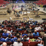 Schermata 2021-03-01 alle 16.17.05 copia