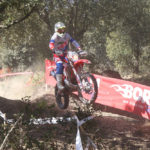 003_Davide-Guerrieri