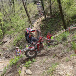 Luca Petrella 2