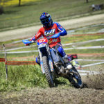 ruprecht_318