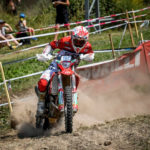 Andrea-Verona-750×556