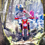 55db752b-f1ad-3219-4969-b4c8faecdc04