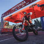 DOMENICA PREVIEW K-8