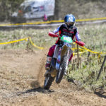 ae30e545-4d4d-cb39-68e9-01a256b8dfbd