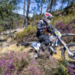 4d0b0ee2-29d0-7fbb-7777-bdc7f470df7b