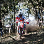 5967131b-0796-c00f-ff18-3bd4ee8ce0a4