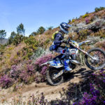 7039064a-d783-8399-adaa-f19ebc1562b4