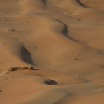 AUTO – DAKAR 2023 – STAGE 12