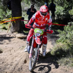 98971889-2010-737b-d690-352bbf3ab04a