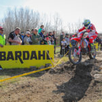 Brad-Freeman-2-categoria-stranieri