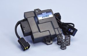 ECM POLINI CON MOLLE VALVOLA PER VESPA PIAGGIO LIBERTY 50 50 e ZIP 4T EURO 5