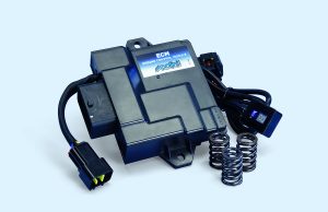 ECM POLINI PER VESPA E LIBERTY 50 EURO 5